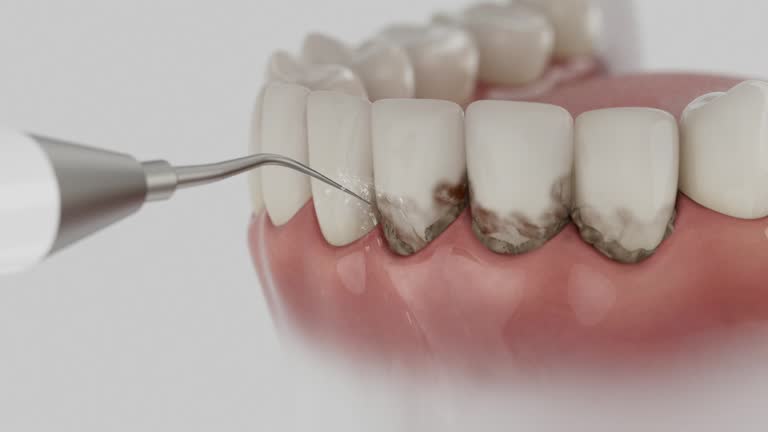 Reliable Dental contractor in Mayville, MI by Dentist Open Now